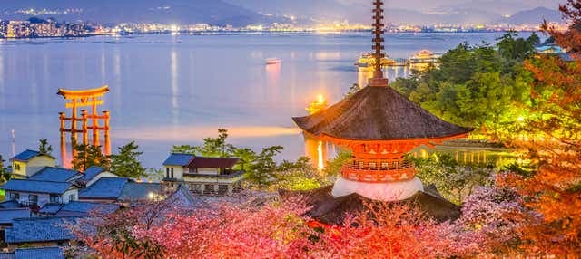 Hiroshima Night Tour - photo 2