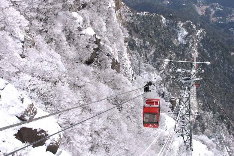 Kintetsu Rail Pass - photo 7