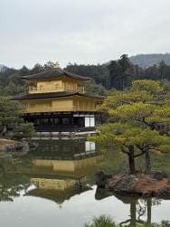 Nara, Kinkakuji & Arashiyama Day Trip - photo 12