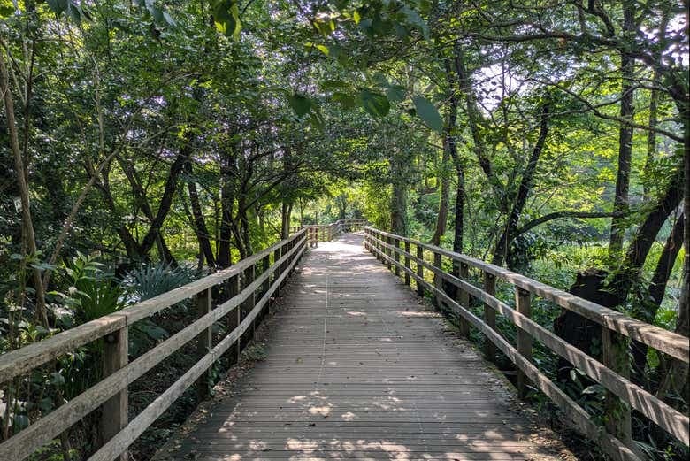 Shakujii Park Guided Tour