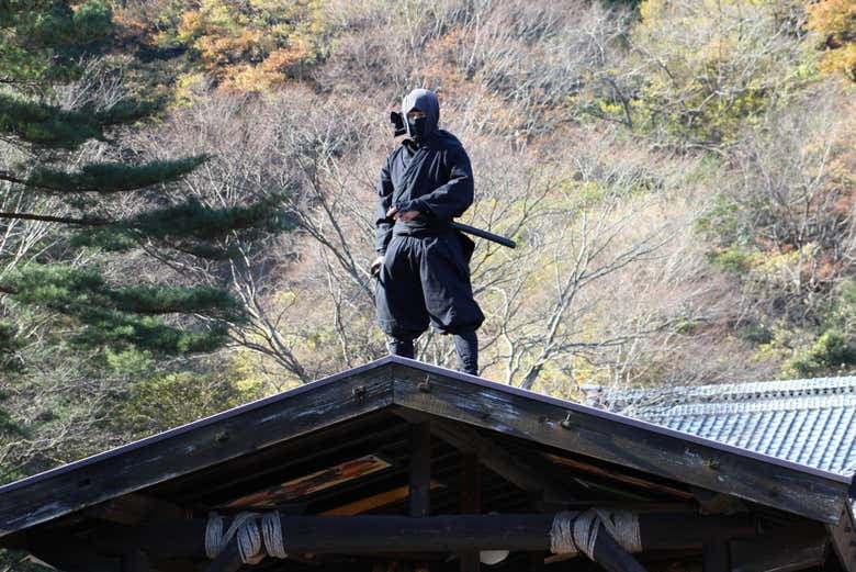 Nikko All Area Pass - photo 4