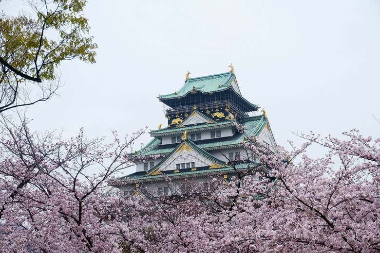 Osaka Castle Walking Tour - photo 3