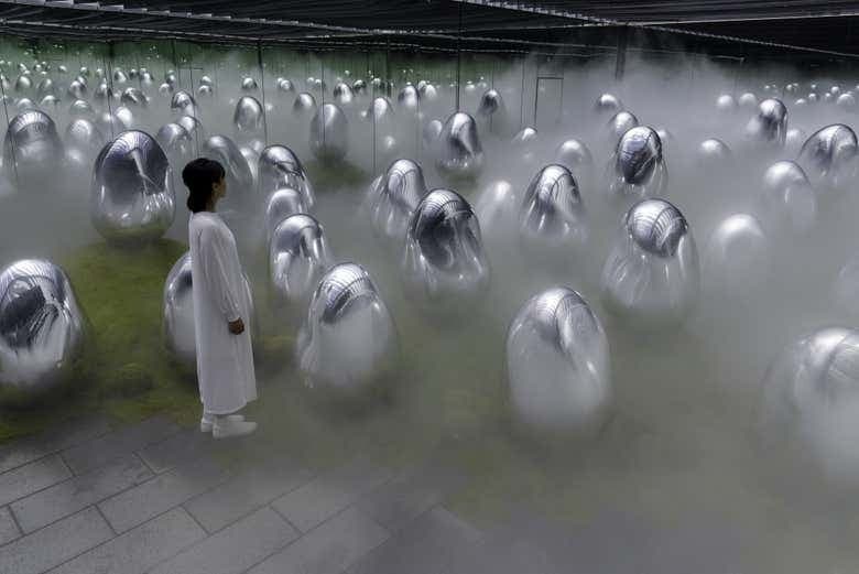 TeamLab Planets Tokyo Tickets - photo 3