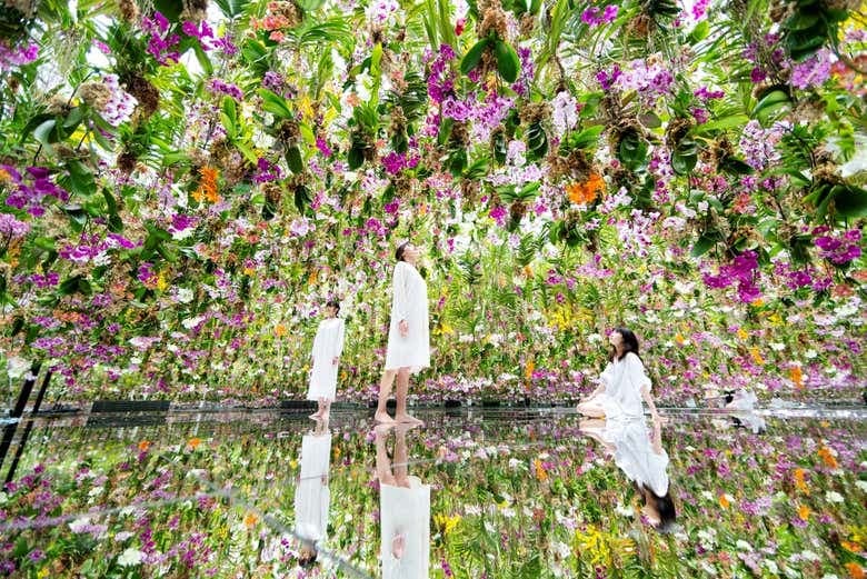 TeamLab Planets Tokyo Tickets - photo 6